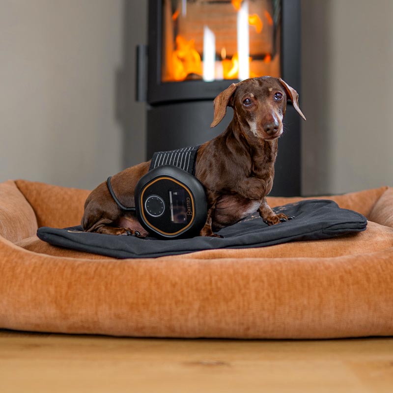 CELLER8 biohacker era t-shirt in field