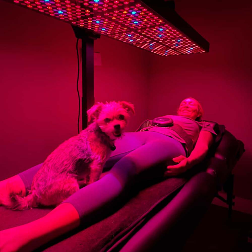 Dr Torrey Schroeder Chiropractic Centre using biohacker package