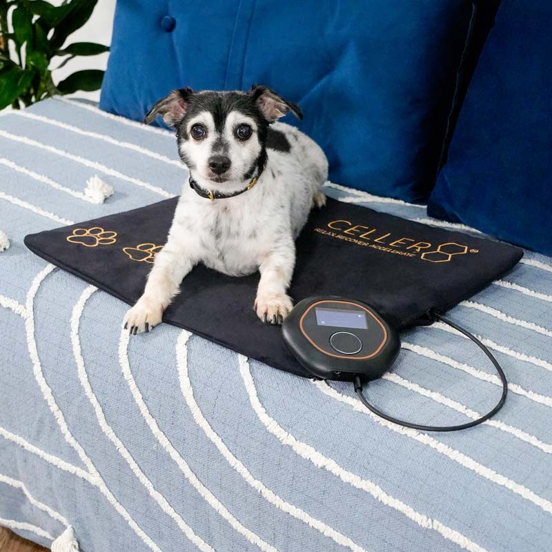 CELLER8 biohacker era t-shirt in field