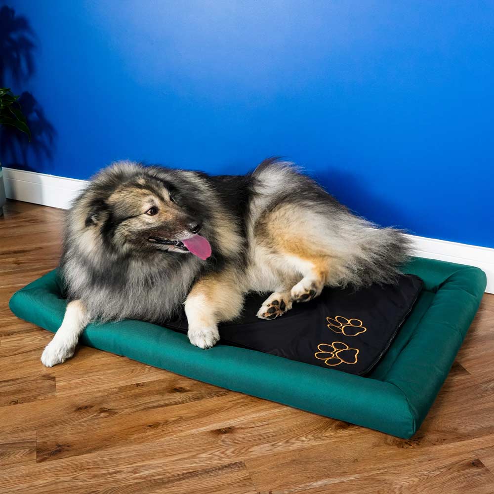 CELLER8® Large Pet Package